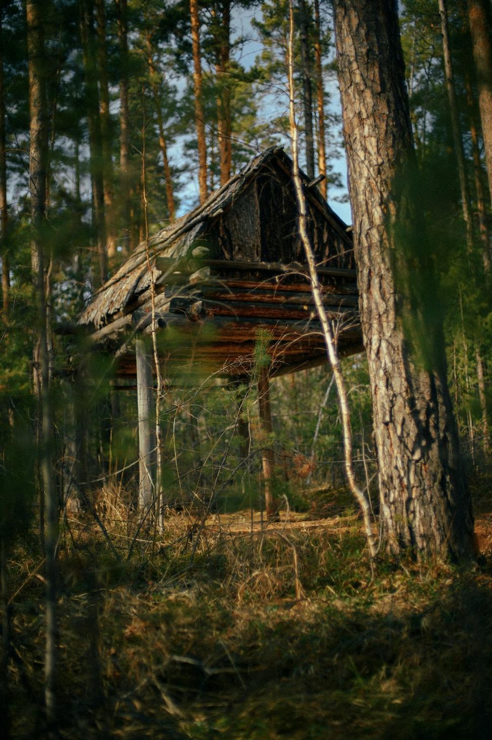 Muskoka Retreat