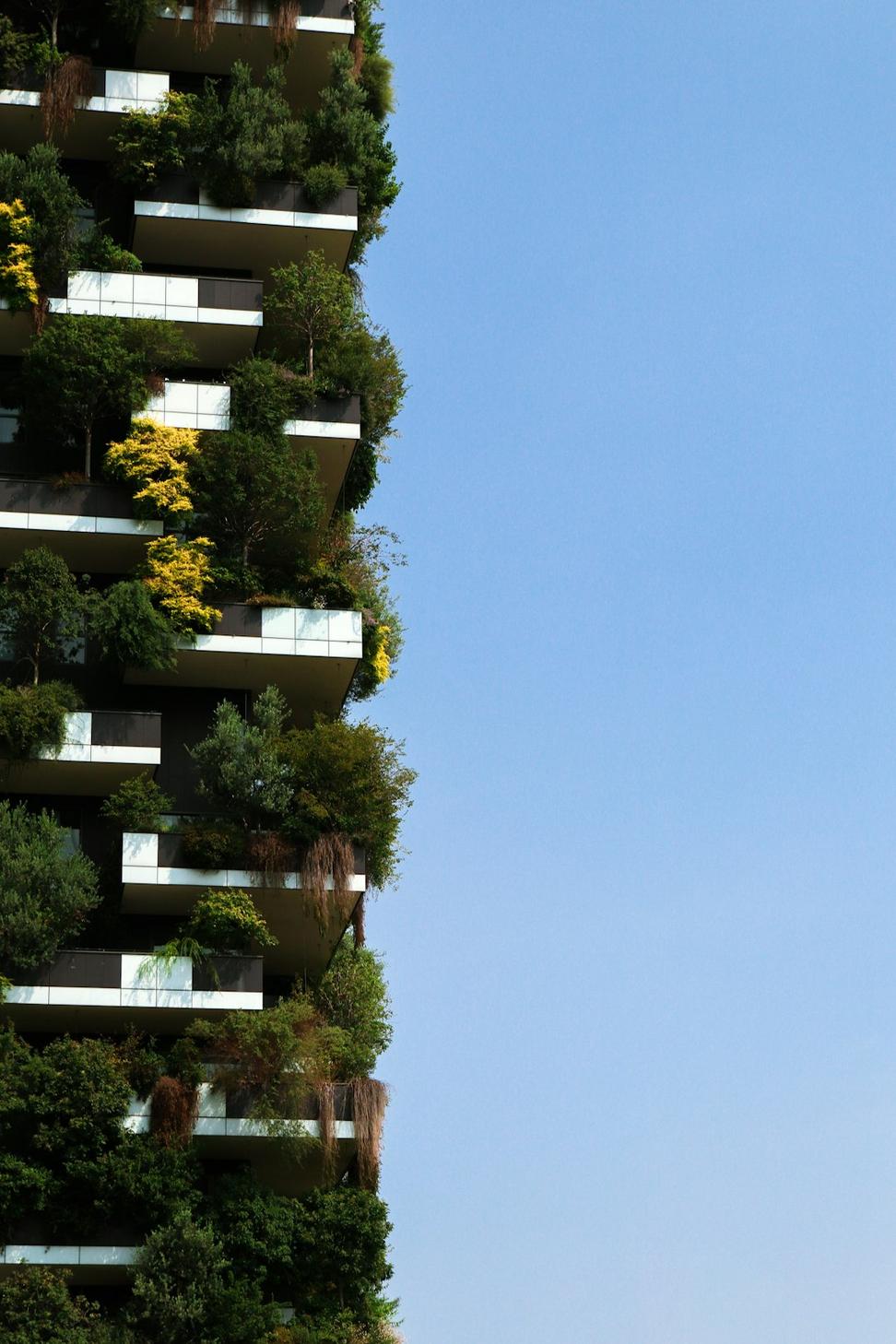 Sustainable Materials