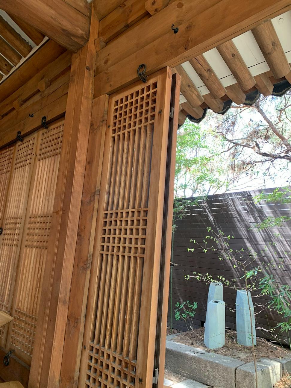 Bamboo